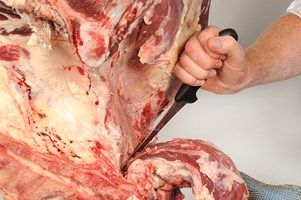 Meat Cut Spec Step 9